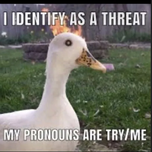 creator Ghostyghostghost's avatar