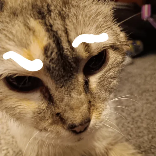 creator CandleCat's avatar