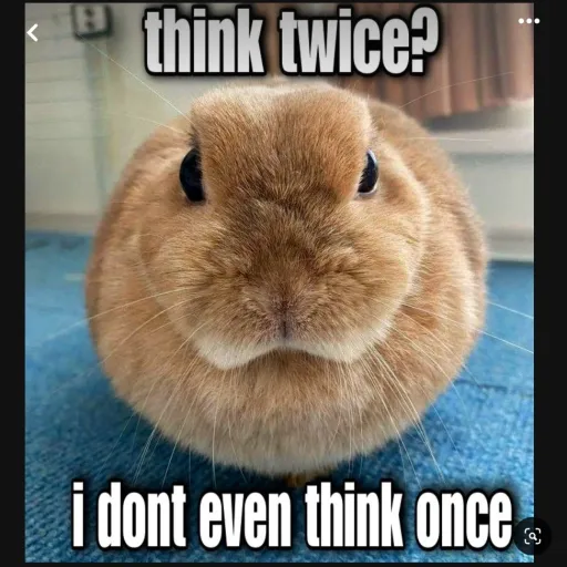 creator Brainless Bunny 💅's avatar