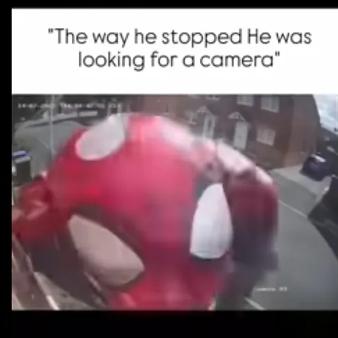 creator LY$$A😝's avatar