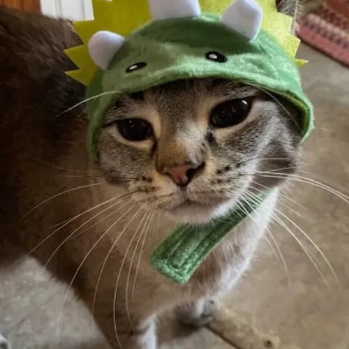 creator sillygummyworms's avatar