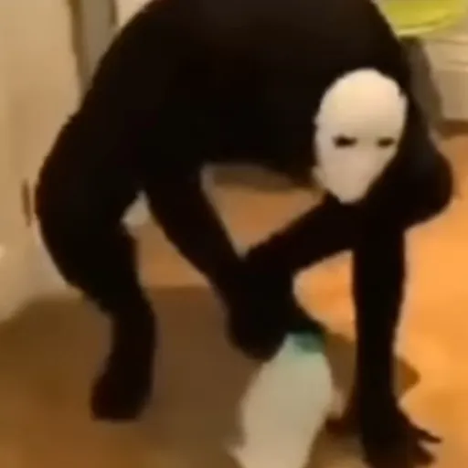 creator Themaskguy('-')'s avatar