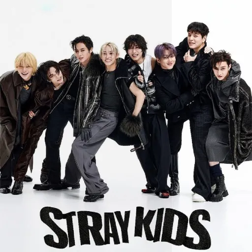 creator stray kids❤️🖤❤️'s avatar