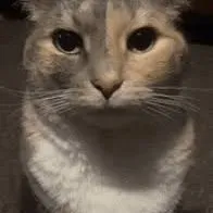 creator MrSlimeTime's avatar