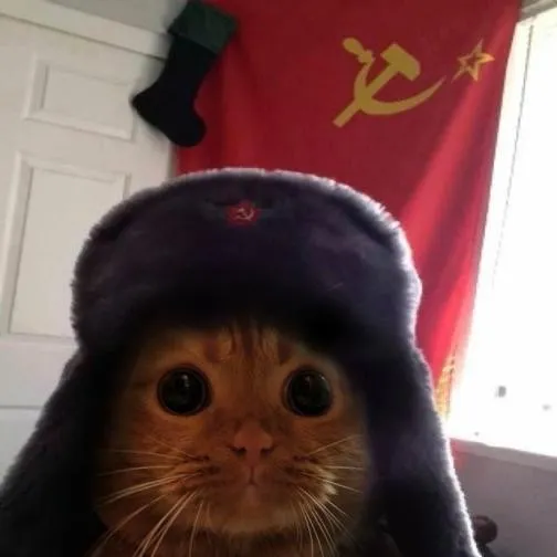 creator ☭ Soviet kitten ☭'s avatar
