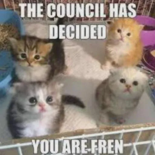 creator Kitty-Council's avatar
