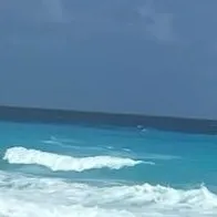 creator 🌊🥥🌸Beach🌸🥥🌊's avatar