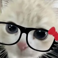 creator QUINNNYY's avatar