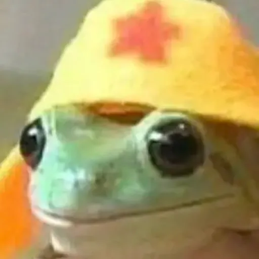 creator 🩶🫧🧃🐸FROGQUEEN🐸🧃🫧🩶's avatar