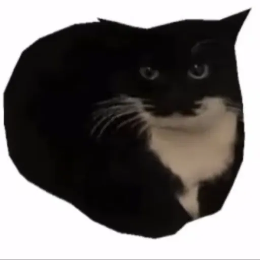 creator Maxwellcat's avatar