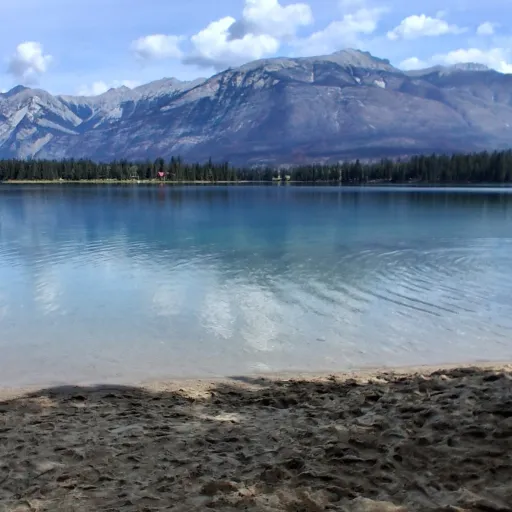 creator 🍙Nicky!~🍵's avatar