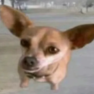 creator TikToker Fan's avatar