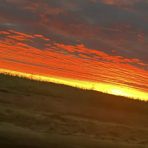 creator Sammy Sundown's avatar