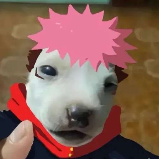 creator Nani:3's avatar