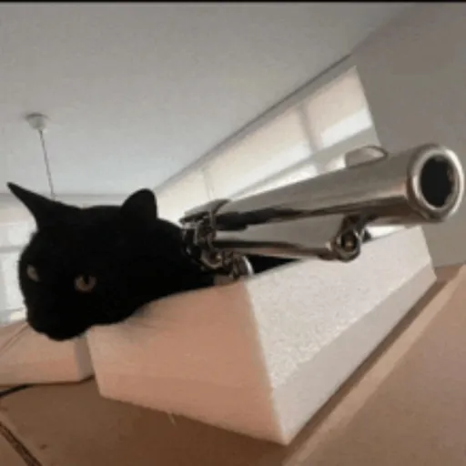 creator Cat with a revolv's avatar