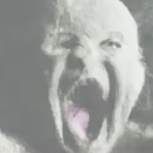 creator DEMON_BABY_AHHH's avatar