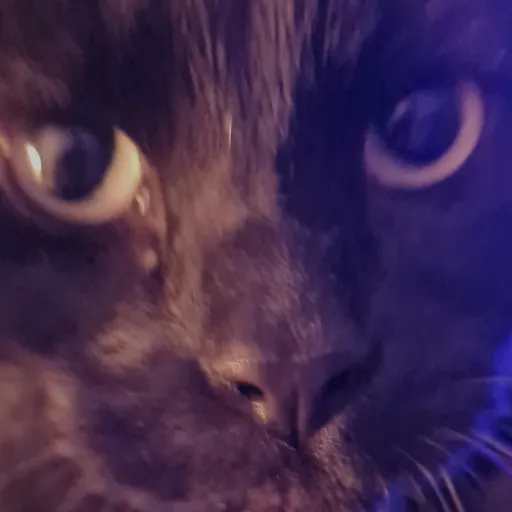creator fergi68's avatar