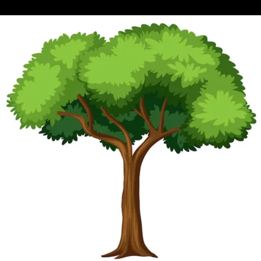 creator mr jg's avatar