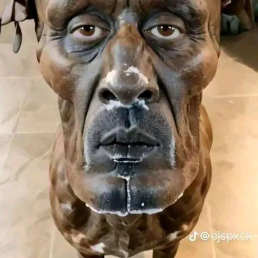 creator GORILLAMANTHEGREAT's avatar