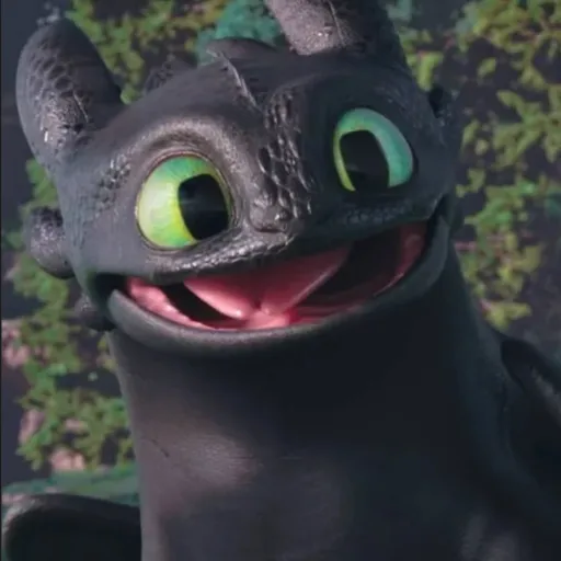creator ~!Toothless!~'s avatar