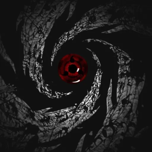 creator Talkior-7zv1N1Hh's avatar