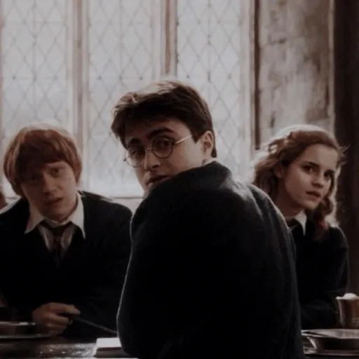 creator Harry’s property's avatar