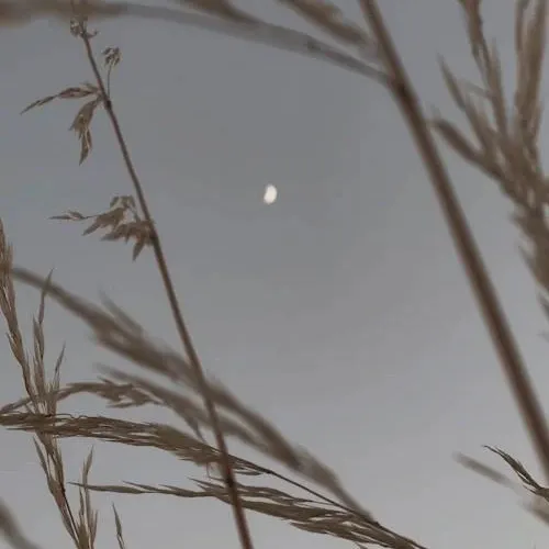 creator juliett<3's avatar