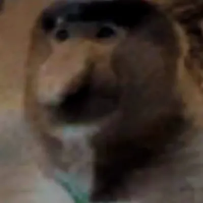 creator Mr ugly monkey's avatar