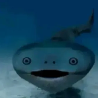 creator Donald fish's avatar