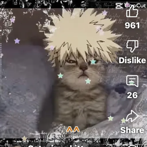 creator Cat Bakugo's avatar