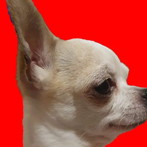 creator the dabbing's avatar