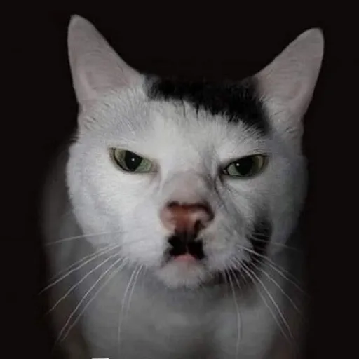 creator KitlerTheSecond's avatar