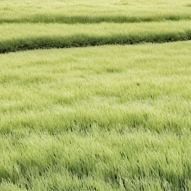 chat with ai character: grass (greets 1st)