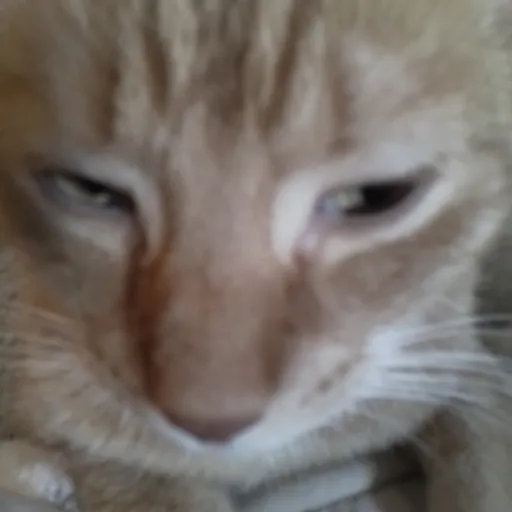 creator MRCLEAN643605's avatar
