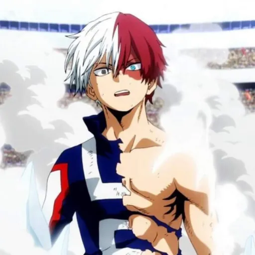 creator 🧊Shoto’s wife🔥's avatar
