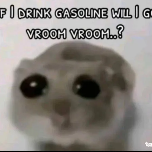 creator VROOM VROOM(;'s avatar