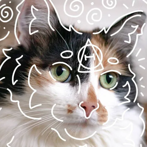 creator MapleShade♥️'s avatar