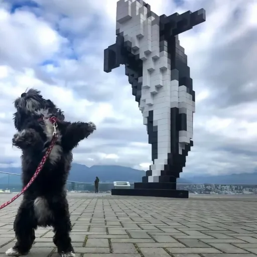 creator DOGGY<3🐕's avatar