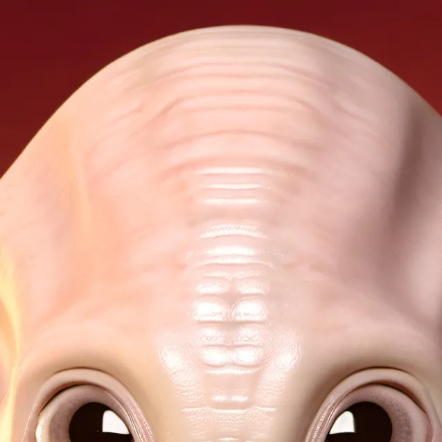 chat with ai character: Alien