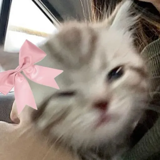 creator ᖭི༏ᖫྀ's avatar