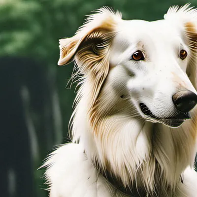 chat with ai character: Max