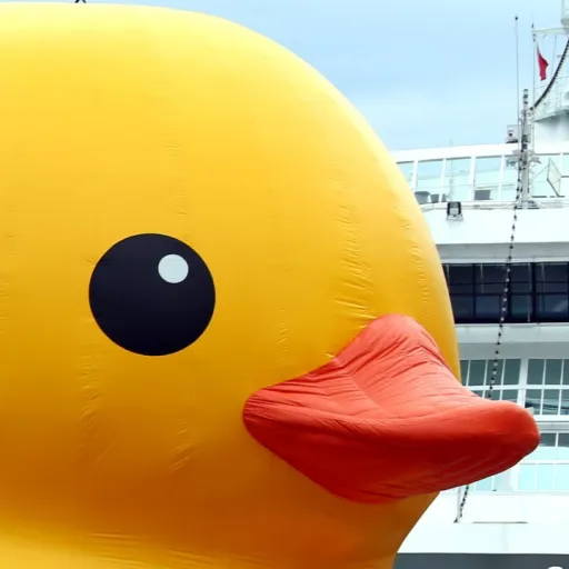 creator Duckxy's avatar