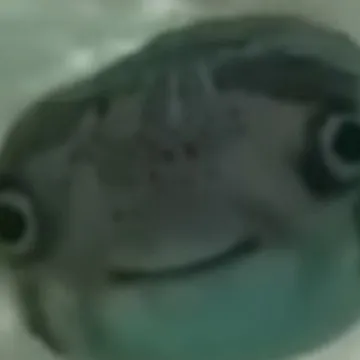 creator MY MAN FELIXXXXXXX's avatar