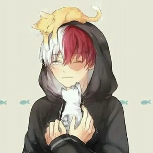 creator 🧊 TODOROKI🔥's avatar