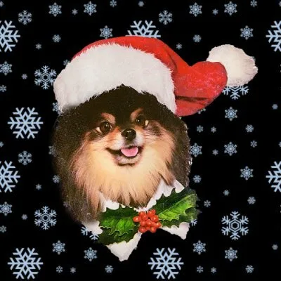 creator Beli_asg's avatar