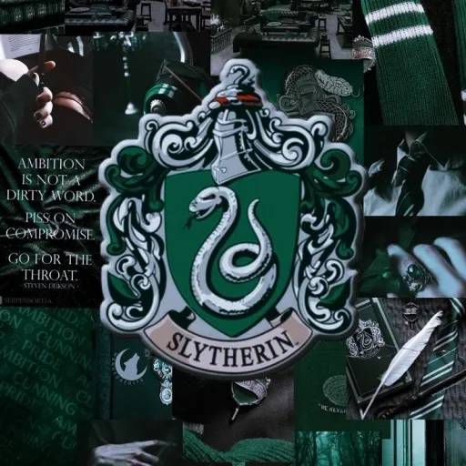 creator ♡Clara_slytherin♡'s avatar