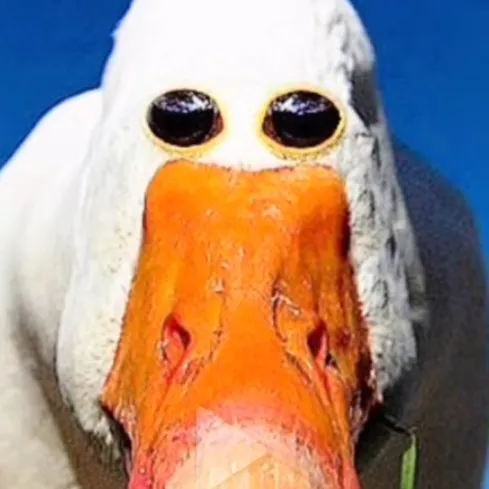 creator Issac1111111's avatar