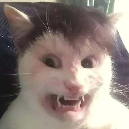 creator Supernoodle's avatar