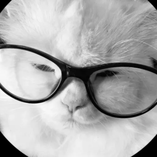 creator *~creator~*'s avatar