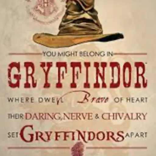creator ❤️Gryffind0rk💛's avatar